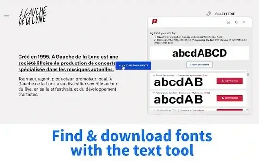 WhatFontIs Chrome extension screenshot showing font identification results